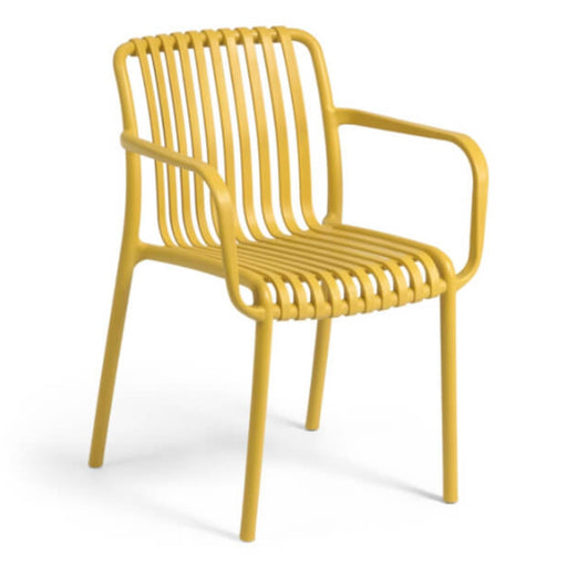 Isabella Arm Dining Chair - Lighting.co.za