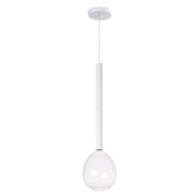 Raindrop Black or White And Clear Glass LED Pendant Light - Lighting.co.za