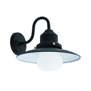 Lea Vintage Barn Black Glass Outdoor Wall Light - Lighting.co.za