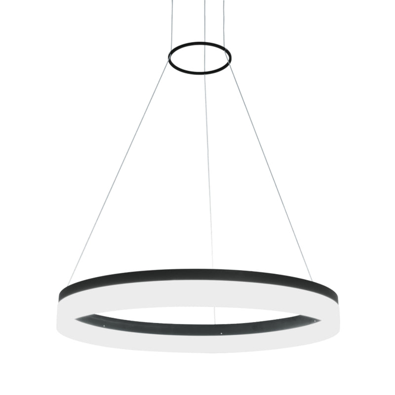 Camila 38 Watt LED Black | White Ring With Diffuser Pendant Light Dimmable - Lighting.co.za