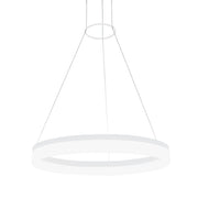Camila 38 Watt LED Black | White Ring With Diffuser Pendant Light Dimmable - Lighting.co.za