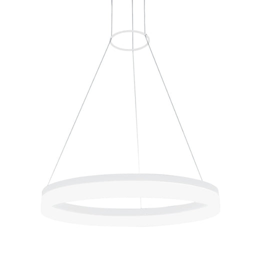 Camila 38 Watt LED Black | White Ring With Diffuser Pendant Light Dimmable - Lighting.co.za