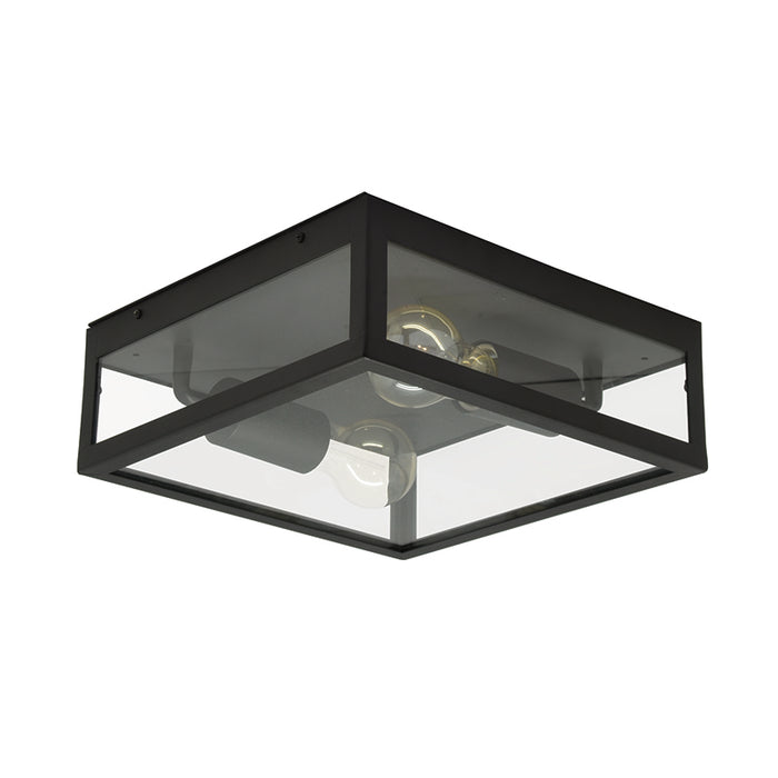 Rubik Black and Clear Glass Spazio Outdoor Ceiling Light - Lighting.co.za
