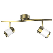 Oriel White Gold Adjustable GU10 2 Light Spot Light - Lighting.co.za