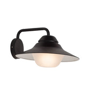 Leila Vintage Barn Black Glass Outdoor Wall Light - Lighting.co.za