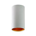 Duo Tall Fixed Round Black | White and Gold GU10 Surface Mounted Down Light - Lighting.co.za
