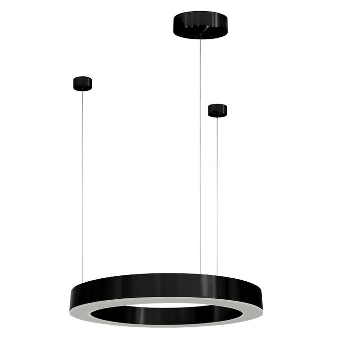 Hoop Brushed Brass | Black LED Ring Pendant Light 3 Sizes - Lighting.co.za