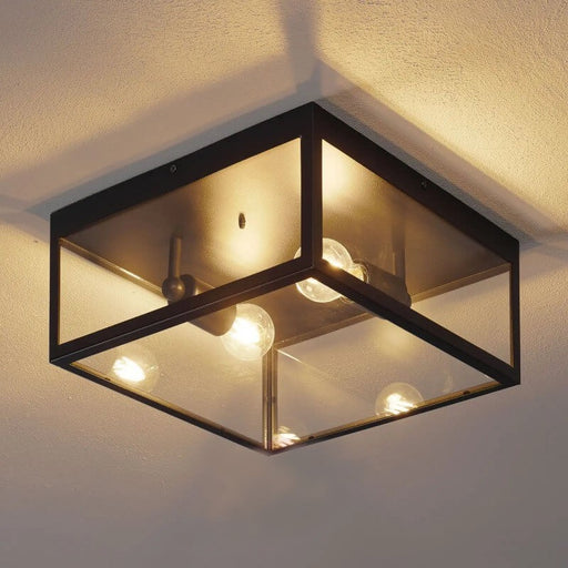 Alamonte 2 Light Outdoor Black and Clear Glass Wall or Ceiling Light - Lighting.co.za