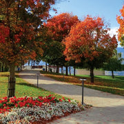 Rondo Solor Rechargeable Outdoor Bollard Light with Motion Sensor - Lighting.co.za